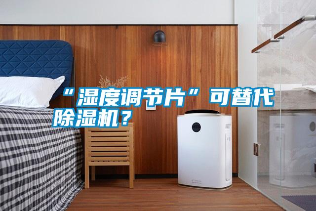 “濕度調節(jié)片”可替代除濕機？