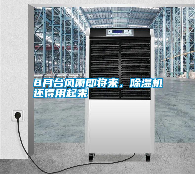 8月臺風雨即將來，除濕機還得用起來