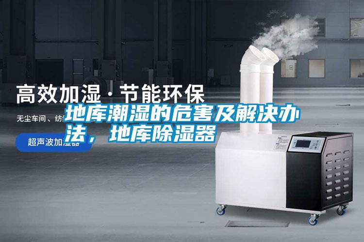 地庫潮濕的危害及解決辦法，地庫除濕器