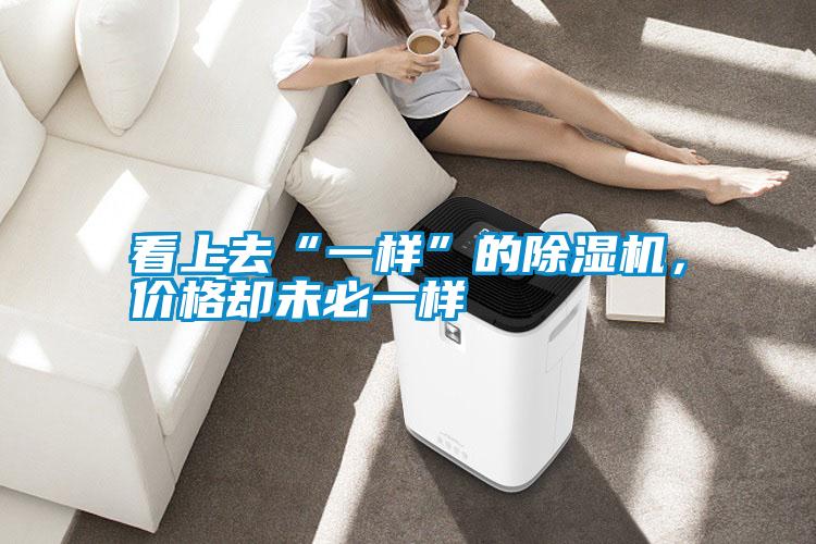 看上去“一樣”的除濕機，價格卻未必一樣