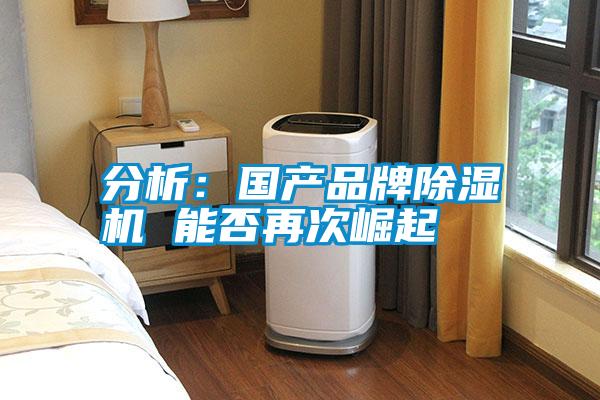 分析:國(guó)產(chǎn)品牌除濕機(jī) 能否再次崛起