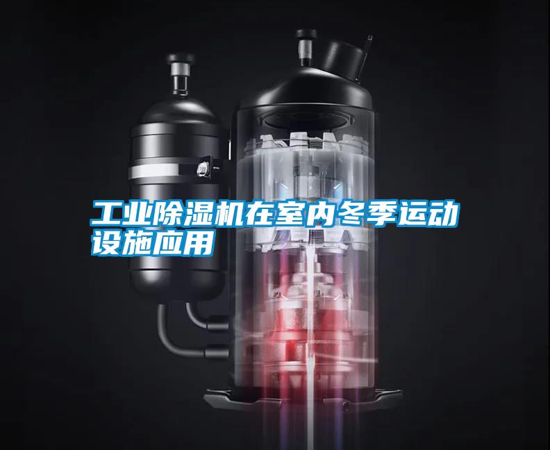 工業除濕機在室內冬季運動設施應用