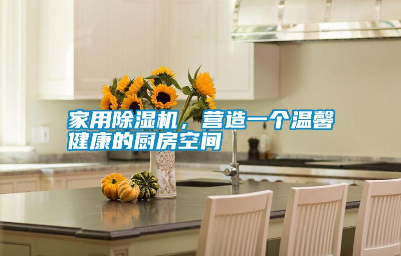 家用除濕機(jī),營造一個(gè)溫馨健康的廚房空間