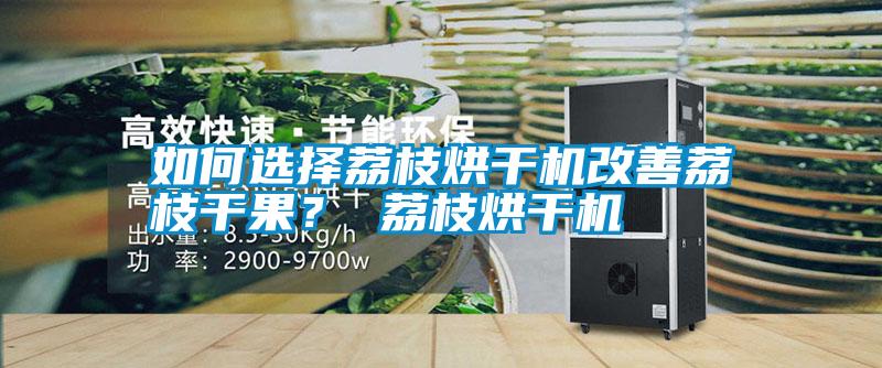 如何選擇荔枝烘干機(jī)改善荔枝干果？ 荔枝烘干機(jī)