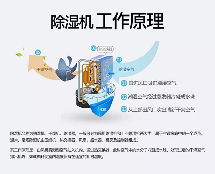 什么品牌除濕機好？買除濕機前先來看看