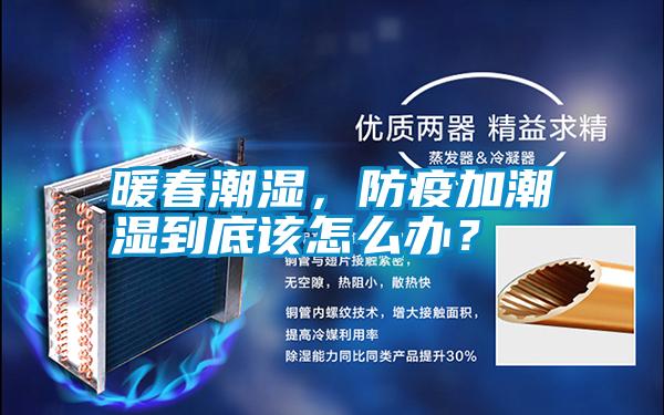 暖春潮濕，防疫加潮濕到底該怎么辦？