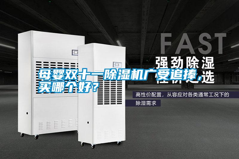 母嬰雙十一除濕機廣受追捧，買哪個好？
