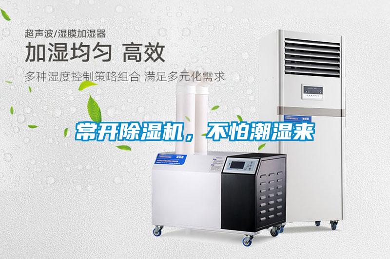 常開除濕機，不怕潮濕來