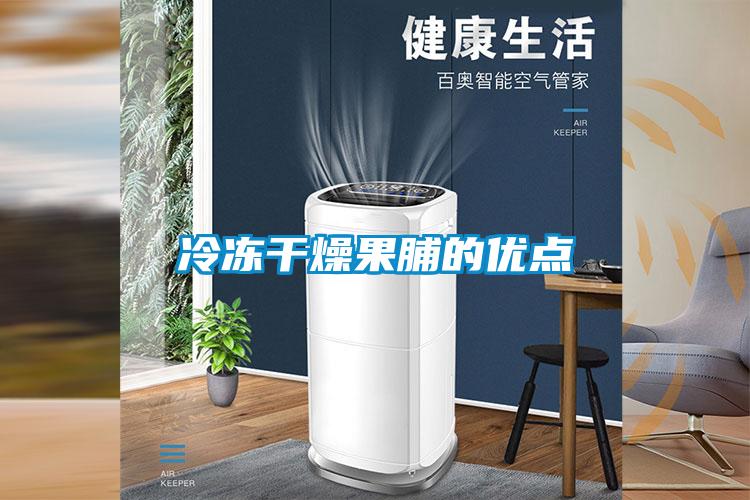 冷凍干燥果脯的優點