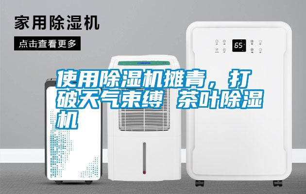 使用除濕機攤青,打破天氣束縛 茶葉除濕機