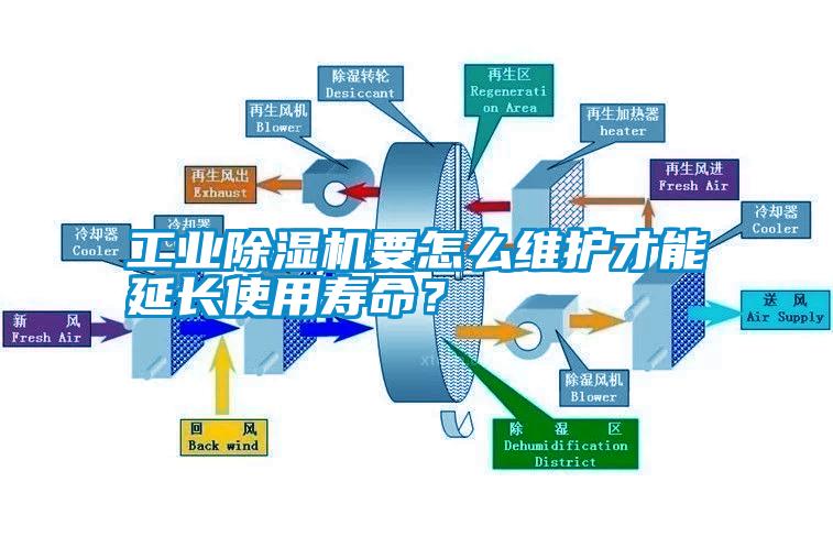 工業除濕機要怎么維護才能延長使用壽命？