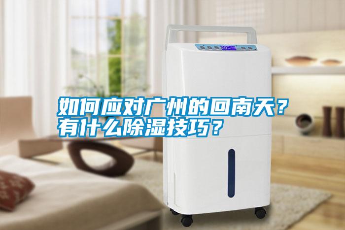 如何應(yīng)對廣州的回南天?有什么除濕技巧?