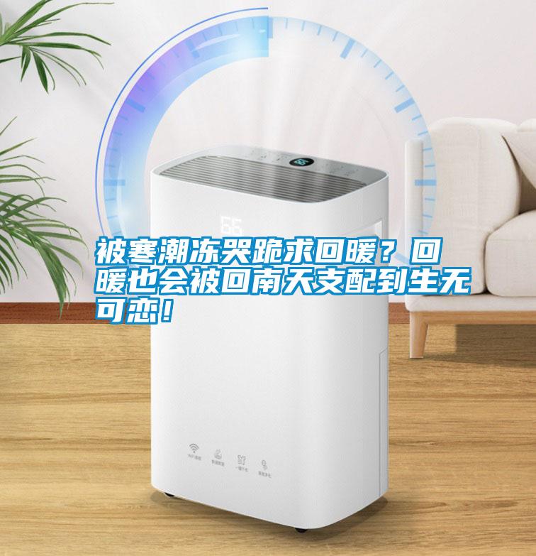 被寒潮凍哭跪求回暖？回暖也會被回南天支配到生無可戀！