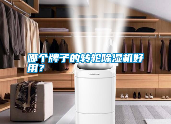 哪個牌子的轉輪除濕機好用？