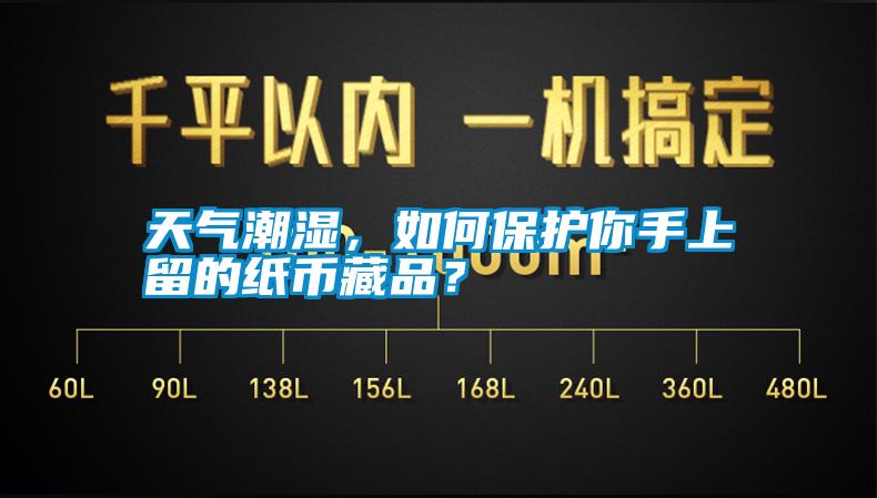 天氣潮濕，如何保護(hù)你手上留的紙幣藏品？
