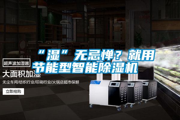 “濕”無忌憚?就用節(jié)能型智能除濕機(jī)