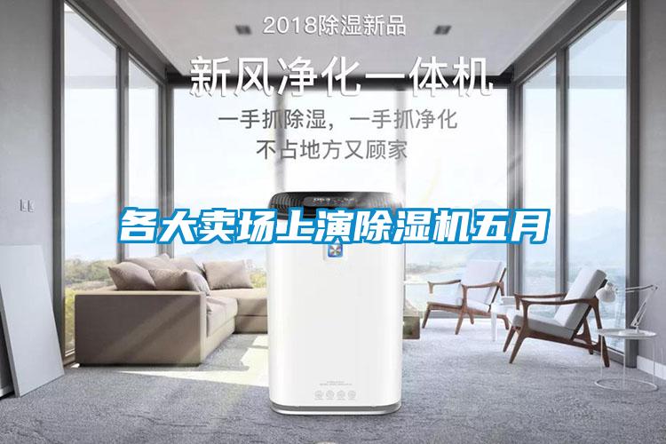 各大賣(mài)場(chǎng)上演除濕機(jī)五月