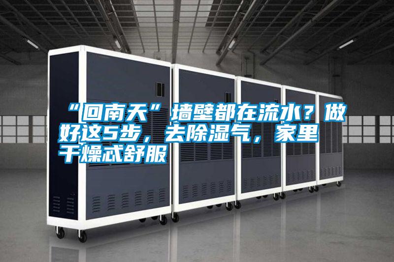 “回南天”墻壁都在流水?做好這5步,去除濕氣,家里干燥忒舒服