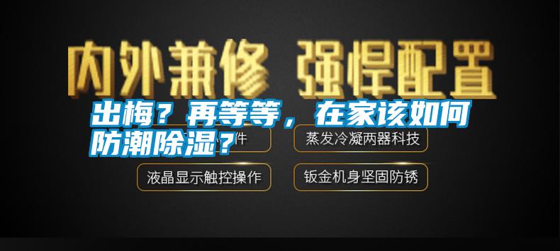 出梅？再等等，在家該如何防潮除濕？