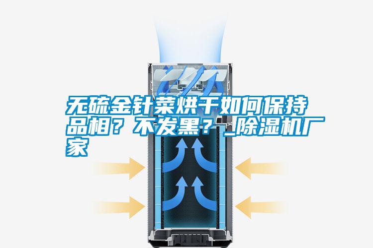 無硫金針菜烘干如何保持品相？不發(fā)黑？_除濕機廠家