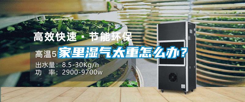 家里濕氣太重怎么辦?