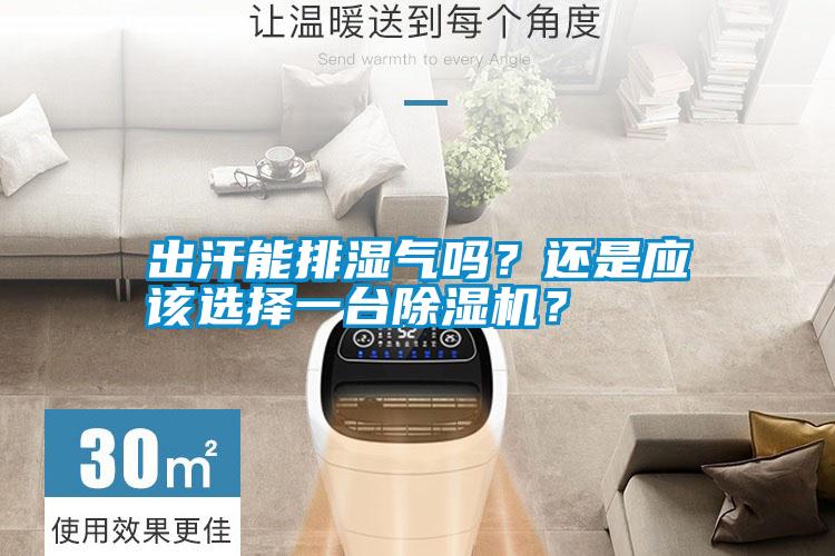 出汗能排濕氣嗎?還是應(yīng)該選擇一臺除濕機?