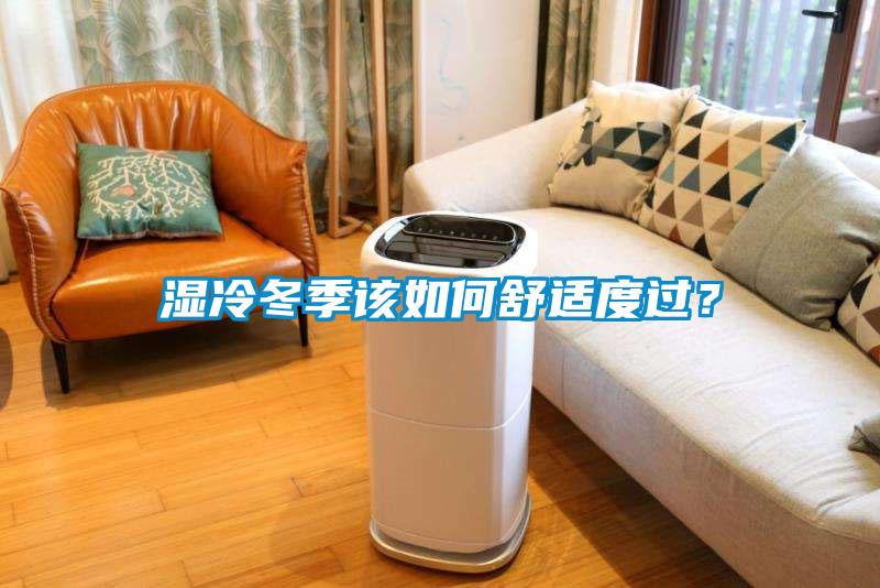 濕冷冬季該如何舒適度過？