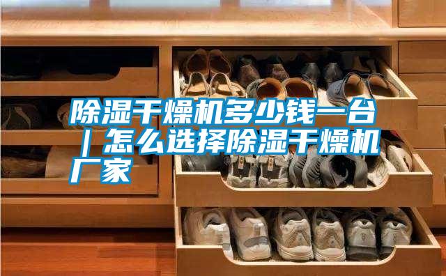 除濕干燥機(jī)多少錢一臺(tái)|怎么選擇除濕干燥機(jī)廠家