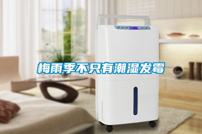 梅雨季不只有潮濕發霉