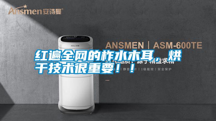 紅遍全網的柞水木耳，烘干技術很重要！！