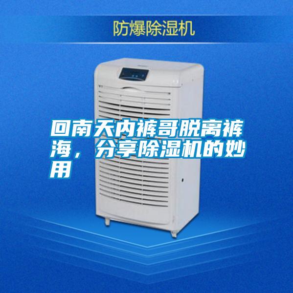 回南天內褲哥脫離褲海，分享除濕機的妙用