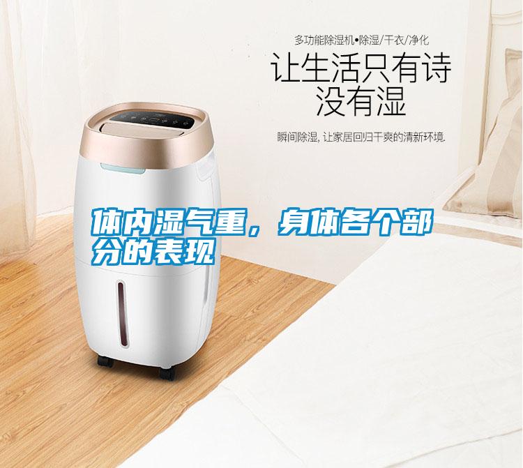 體內濕氣重，身體各個部分的表現