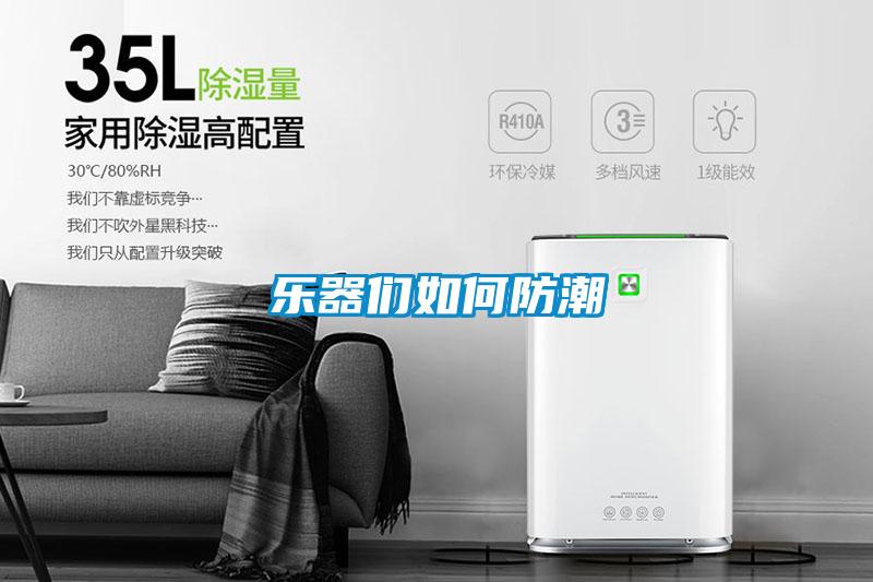樂器們如何防潮