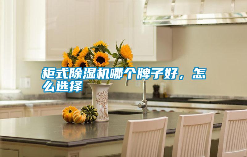 柜式除濕機(jī)哪個(gè)牌子好，怎么選擇