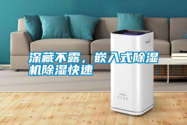 深藏不露,嵌入式除濕機(jī)除濕快速