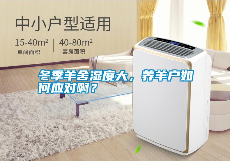 冬季羊舍濕度大，養(yǎng)羊戶如何應對啊？