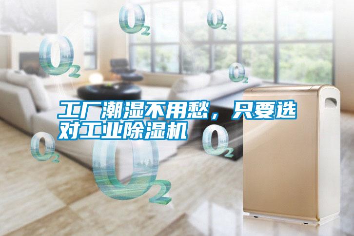 工廠潮濕不用愁，只要選對工業除濕機