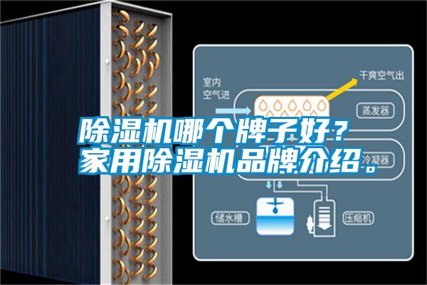 除濕機哪個牌子好？家用除濕機品牌介紹。