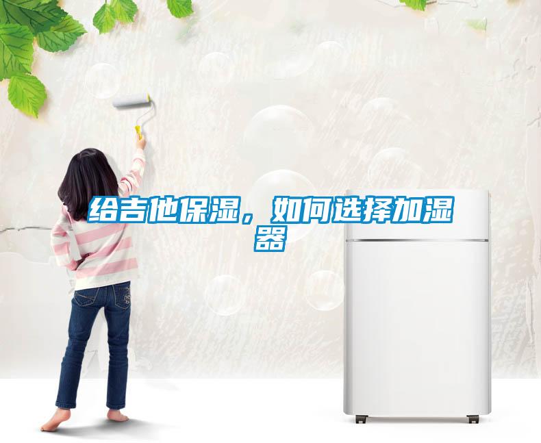 給吉他保濕,如何選擇加濕器