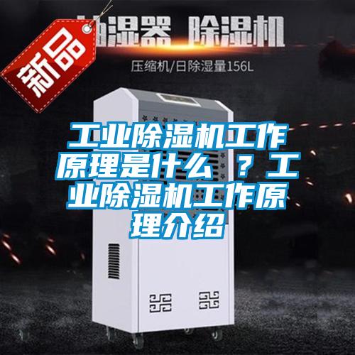 工業(yè)除濕機(jī)工作原理是什么 ？工業(yè)除濕機(jī)工作原理介紹