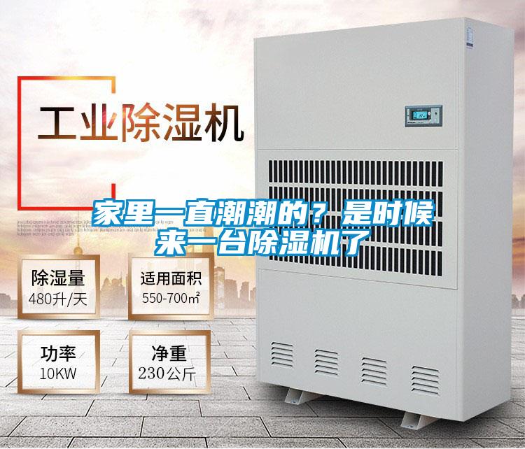 家里一直潮潮的？是時候來一臺除濕機了