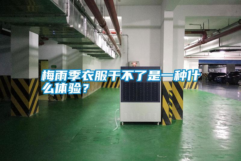 梅雨季衣服干不了是一種什么體驗(yàn)？