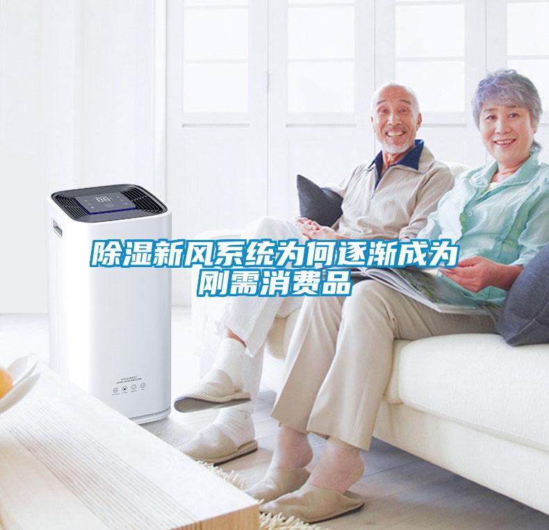 除濕新風系統為何逐漸成為剛需消費品
