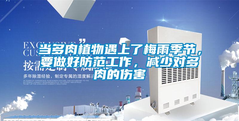 當多肉植物遇上了梅雨季節,要做好防范工作,減少對多肉的傷害