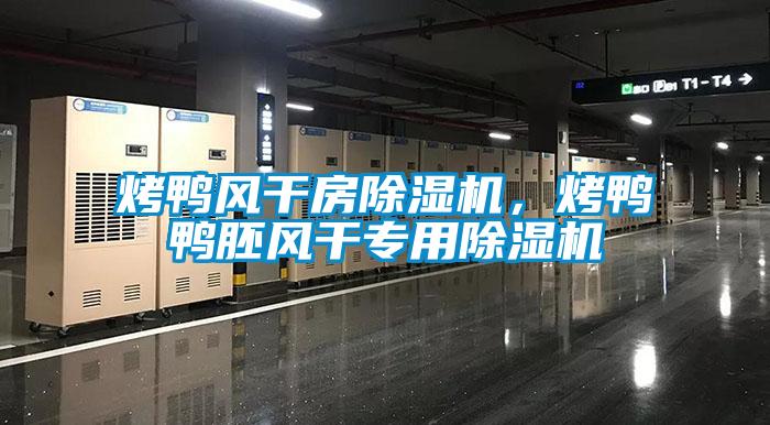 烤鴨風(fēng)干房除濕機，烤鴨鴨胚風(fēng)干專用除濕機