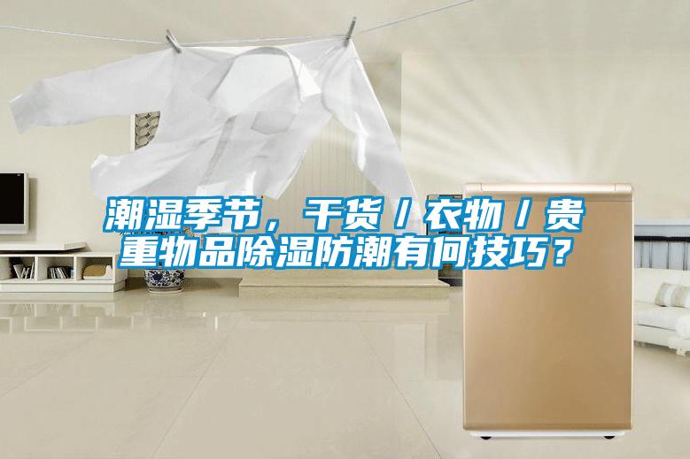 潮濕季節，干貨／衣物／貴重物品除濕防潮有何技巧？