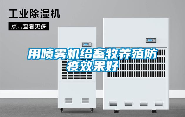 用噴霧機給畜牧養殖防疫效果好