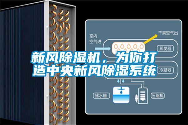 新風(fēng)除濕機(jī)，為你打造中央新風(fēng)除濕系統(tǒng)