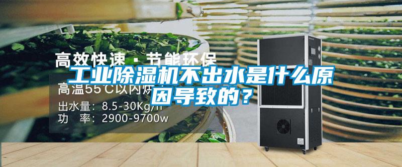 工業(yè)除濕機(jī)不出水是什么原因?qū)е碌模?/></p>
						    <p style=