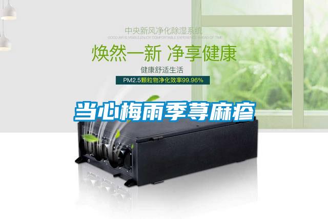 當心梅雨季蕁麻疹